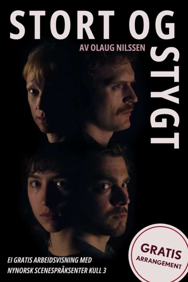 NYSS 3 s&s framside web